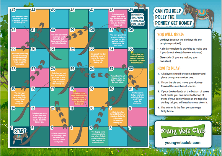 Link to Donkey Doctors challenge