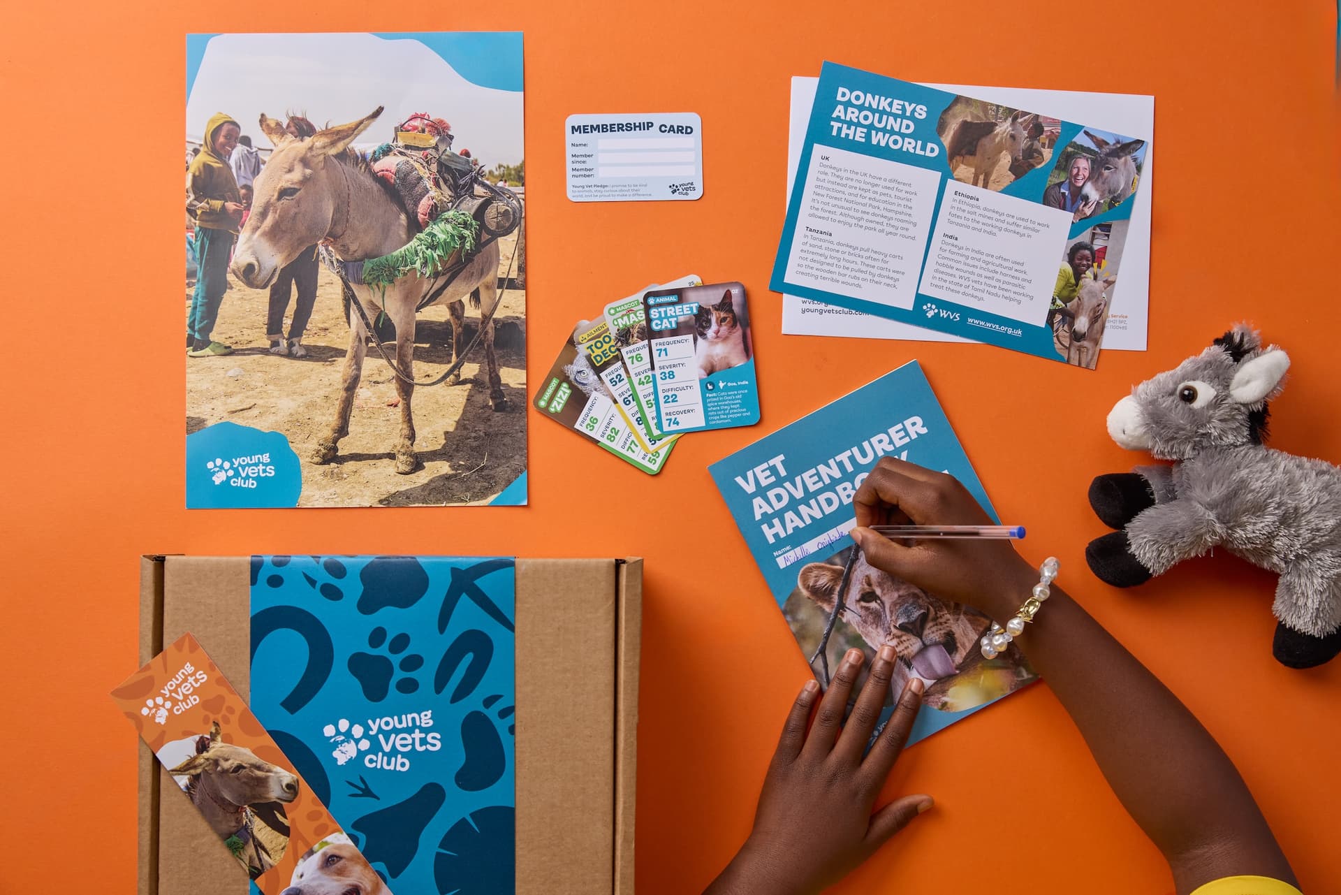 An array of the items you get with a Young Vets Club membership